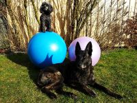 Bild Physiotherapie